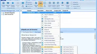 Domain Punch screenshot