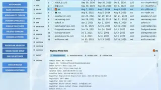Domain Punch screenshot