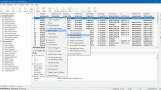 Domain Punch screenshot
