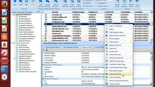 Domain Punch screenshot
