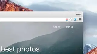 DomainFlag screenshot