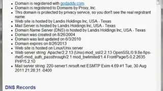 DomainHostingView screenshot