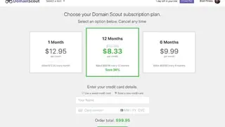 DomainScout screenshot