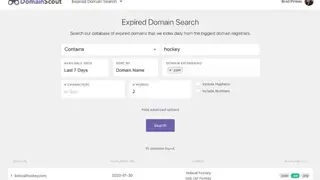 DomainScout screenshot