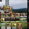 Dominion Online