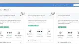 Domino screenshot