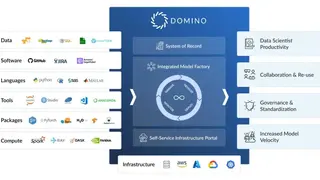 Domino Data Science Platform screenshot