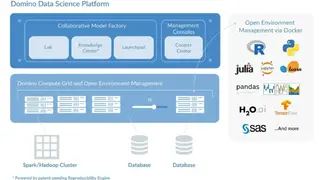 Domino Data Science Platform screenshot