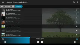 Doninn Audio editor screenshot