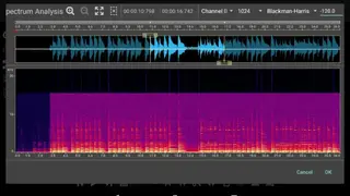Doninn Audio editor screenshot