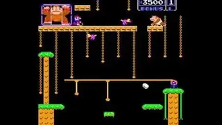 Donkey Kong Jr screenshot