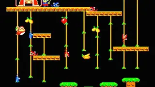Donkey Kong Jr screenshot