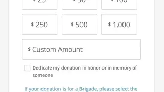 DonorBox screenshot