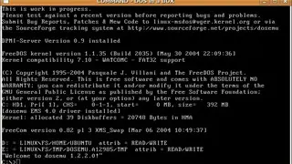 DOSEMU screenshot