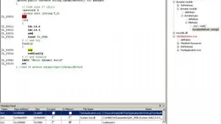 Dotnet IL Editor screenshot