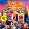 Double Dragon 3: The Rosetta Stone