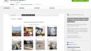 DownAlbum screenshot