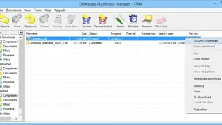 Download Accelerator Manager screenshot