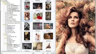 Download All Images screenshot