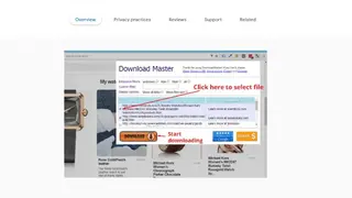Download Master screenshot