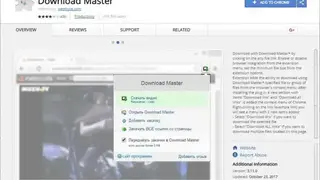 Download Master screenshot
