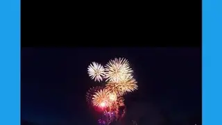 Download Twitter Video screenshot