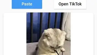 Downloader for TikTok screenshot