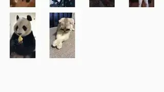 Downloader for TikTok screenshot