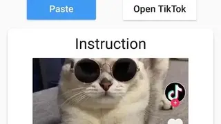 Downloader for TikTok screenshot