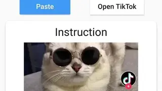 Downloader for TikTok screenshot