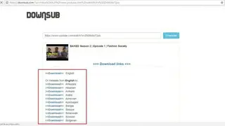 Downsub screenshot