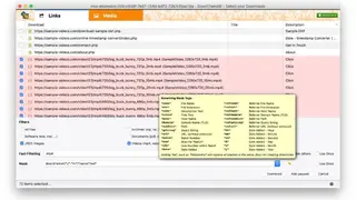 DownThemAll screenshot
