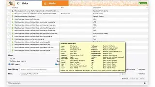 DownThemAll screenshot