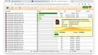 DownThemAll screenshot