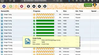 DownThemAll screenshot