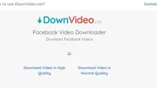 DownVideo screenshot