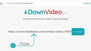 DownVideo screenshot