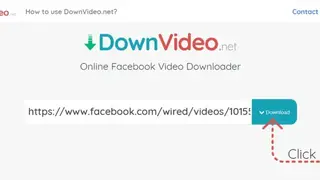 DownVideo screenshot