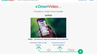DownVideo screenshot