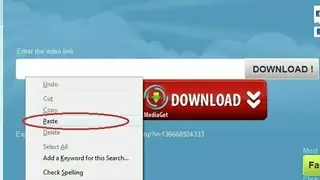 DownVids screenshot