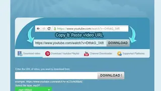 DownVids screenshot