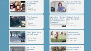 DownVids screenshot