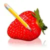 DrawBerry