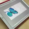 Drawzee
