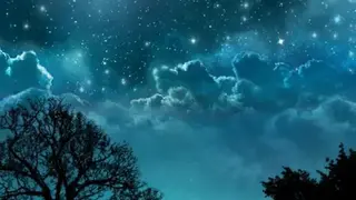 Dream Night Free Live Wallpaper screenshot