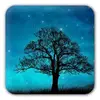 Dream Night Free Live Wallpaper