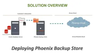Druva Phoenix screenshot