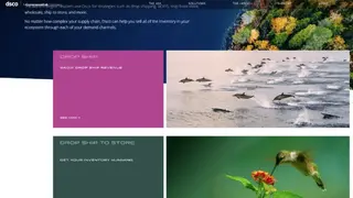 Dsco screenshot