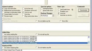DSynchronize screenshot
