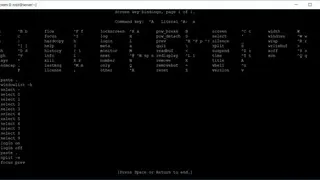 Dtach screenshot